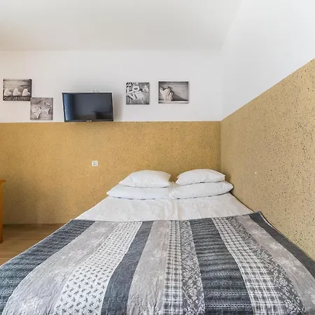 Zefirek Проживание в семье *