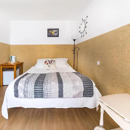 Zefirek Проживание в семье