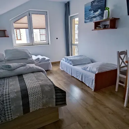 Проживание в семье Zefirek