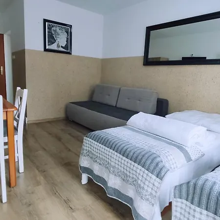 Zefirek Проживание в семье *